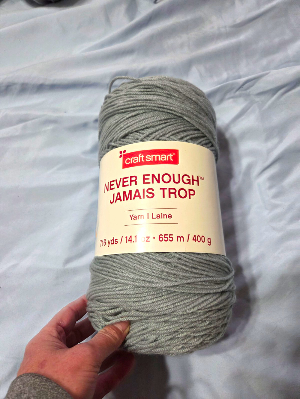 Craft Smart Never Enough Yarn Seafoam Green Plain Skein 400g 716yd MPN 588012